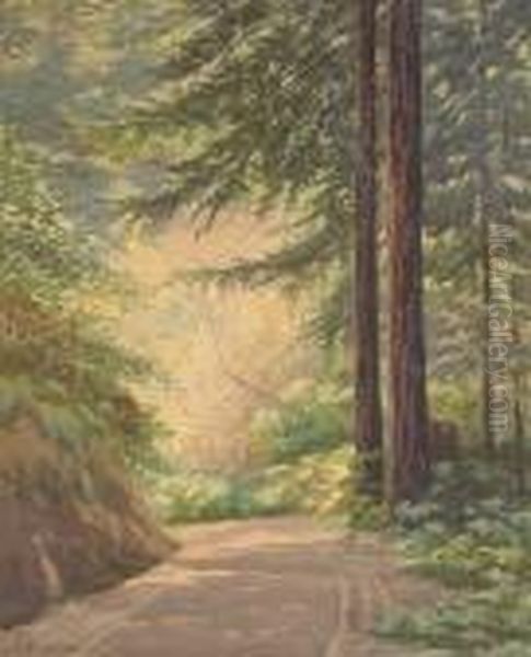 A Road Through The Redwoods Oil Painting by Lorenzo Palmer Latimer