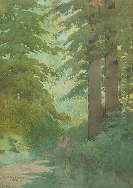 Scattered Sunlight In A Forest Interior Oil Painting by Lorenzo Palmer Latimer