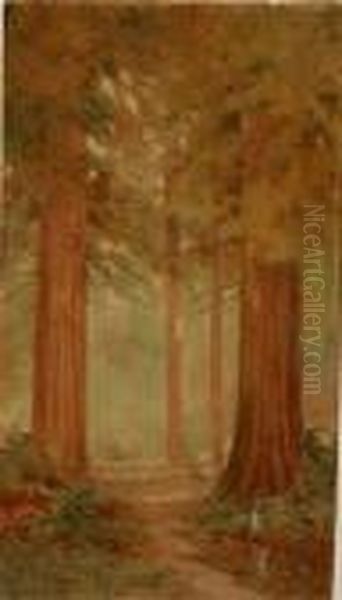 California Redwoods Oil Painting by Lorenzo Palmer Latimer