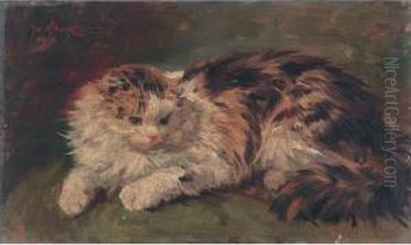 Chat Couche Oil Painting by Yvonne Marie, Yo Laur