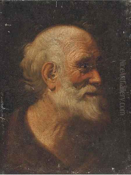 Head of a male saint Oil Painting by Giacomo Francesco Cipper