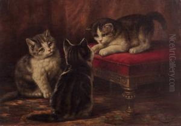 Kittens Oil Painting by August Laux