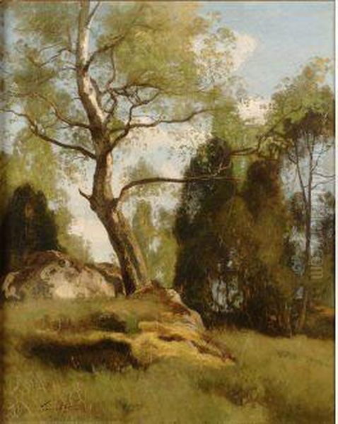 Bouleau Au Rocher Bernard. Foret De Fontainbleau Oil Painting by Eugene Antoine Samuel Lavieille