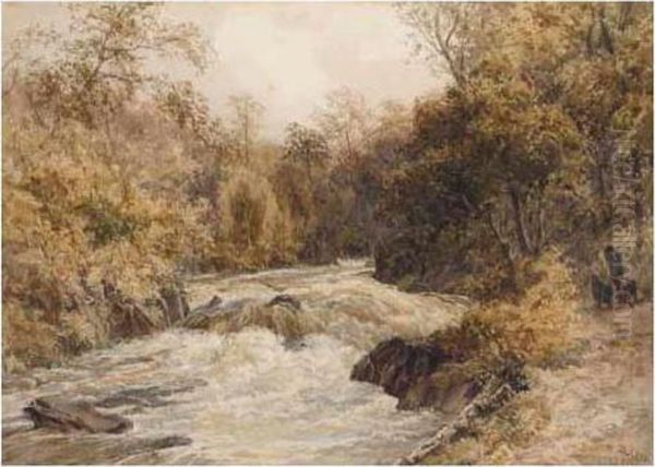 On The Doon, Glen Ness Oil Painting by David Law