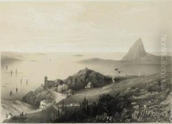 Panoramic Views Of Rio De Janeiro Oil Painting by John Le Capelain