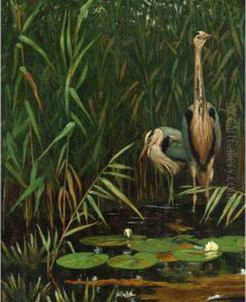 Two Herons Near The Waterfront Oil Painting by August Le Gras