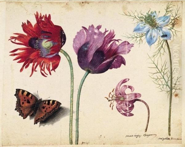 A Sheet Of Flowers: Two Opium 
Poppies, A Lily And A Love-in-a-mist, With A Beetle And A Tortoiseshell 
Butterfly Oil Painting by Jacques (de Morgues) Le Moyne