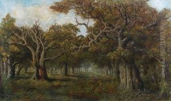 A Woodland Clearing Oil Painting by Charles Leaver