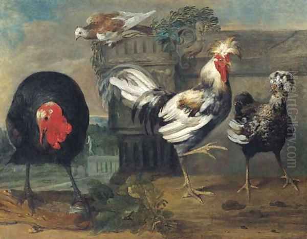 Two crested chickens, a turkey and a dove in an architectural landscape Oil Painting by Pieter III Casteels