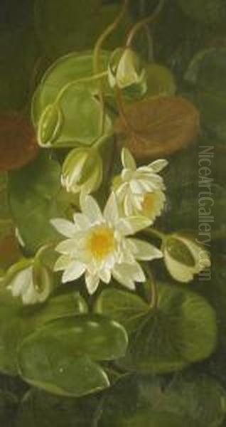 Still Life Withwater Lilies Oil Painting by Edward Chalmers Leavitt