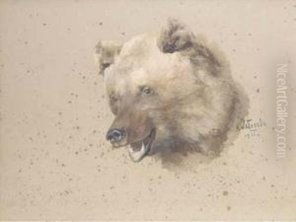 Head Of A Bear Oil Painting by Klavdiy Vasilievich Lebedev