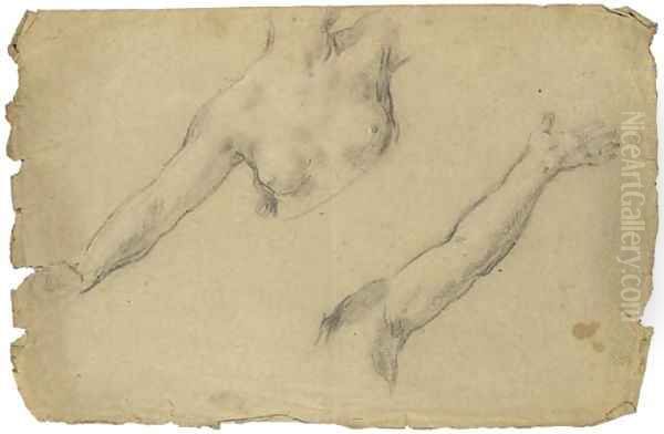 Study of the torso and outstretched right arm of a female nude Oil Painting by Pietro Da Cortona (Barrettini)