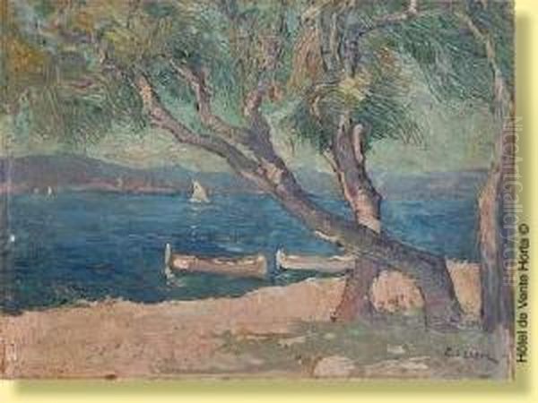 Tamaris Au Bord De La Mer A Saint Raphael Oil Painting by Paul Leduc