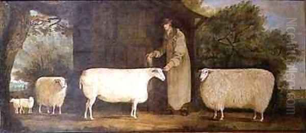 A Shepherd with his Flock Oil Painting by J.D. Curtis