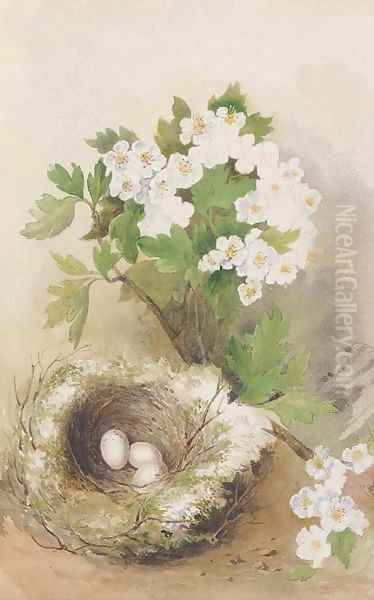 A birds' nest and a sprig of apple blossom Oil Painting by Robert Cruickshank