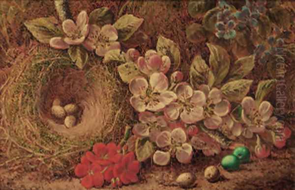 Apple blossom and a bird's nest with eggs Oil Painting by Oliver Clare