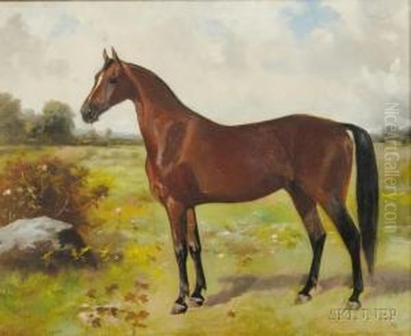 Portrait Of A Horse. Oil Painting by Scott Leighton