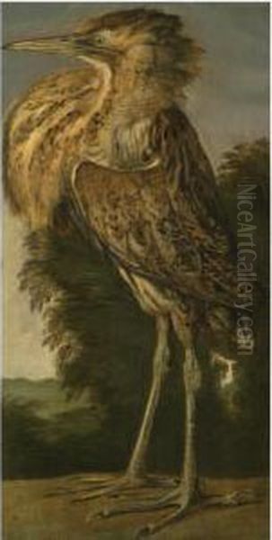 A Bittern (roerdomp) Oil Painting by Cornelis van Lelienbergh