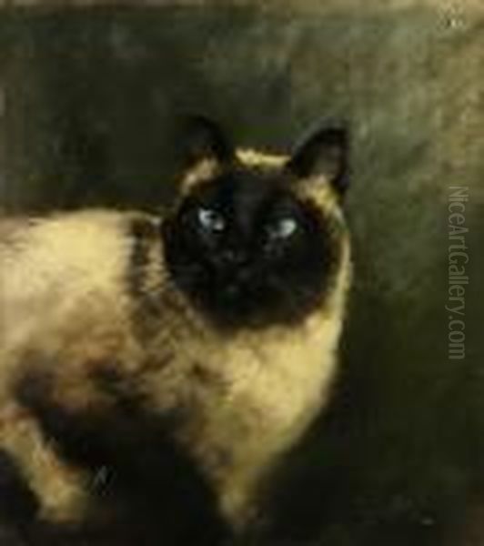 Il Siamese Oil Painting by Marino Lenci