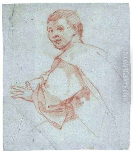 Study of a young man Oil Painting by Bartolomeo Cesi