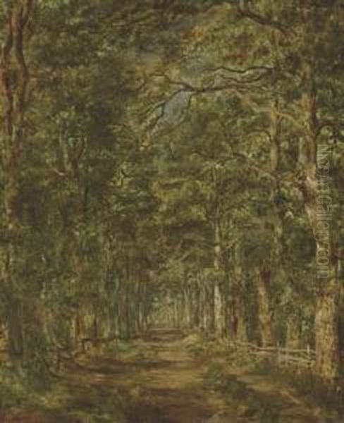 Chemin Dans Les Bois Au Souliers Oil Painting by Charles Leroux