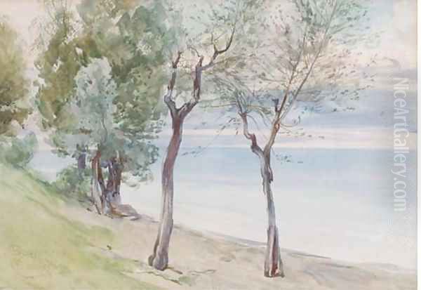 Trees on the coast at Baveno Oil Painting by Onorato Carlandi