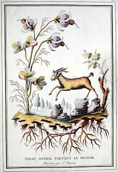 A Pazan wild mountain goat that carries in its stomach a bezoar Oil Painting by Charton, J.