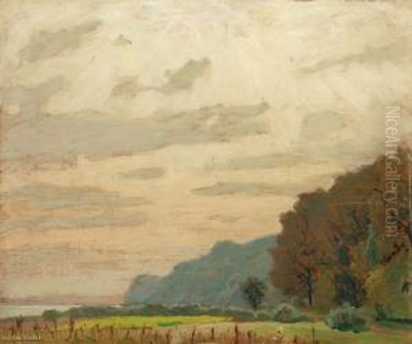 Elbe Bei Lauenburg Oil Painting by Hans Licht