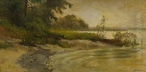 Seeufer Oil Painting by Adolf Heinrich Lier