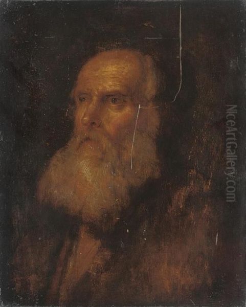 Head Of A Bearded Man Oil Painting by Jan Lievens