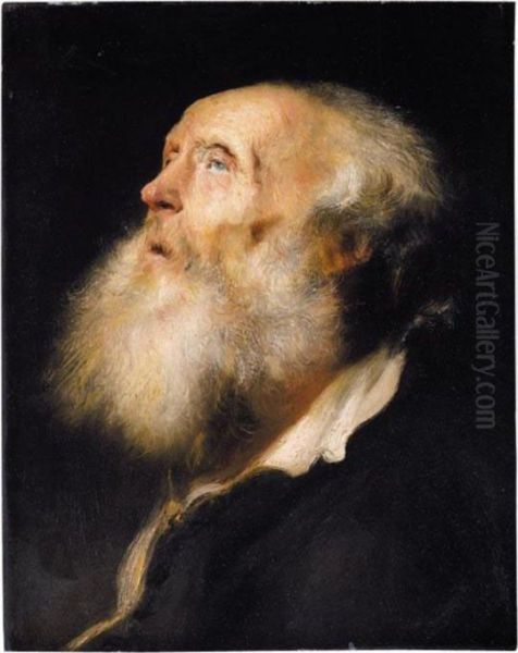 Study Of An Old Man, Head And Shoulders Oil Painting by Jan Lievens