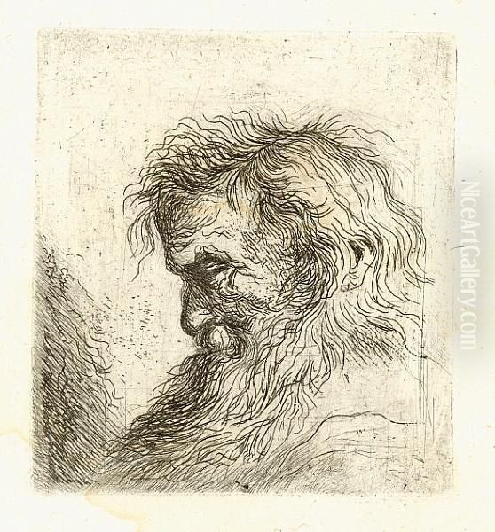 Head Of An Old Man In Profile To The Left (bartsch 40) Oil Painting by Jan Lievens