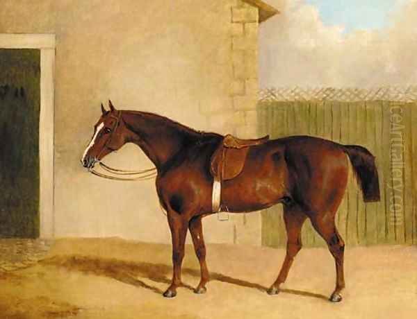 A saddled brown hunter by a stable Oil Painting by Albert Clark