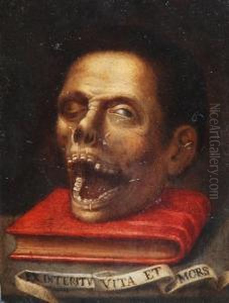 Vanitas Oil Painting by Giacomo (or Jacopo) Tarchiani