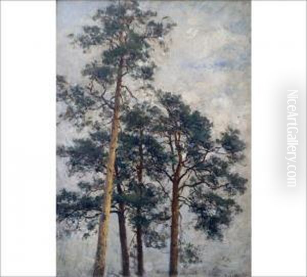 Pine Trees Oil Painting by Berndt Adolf Lindholm