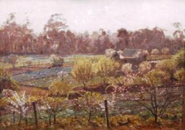 Market Garden Ryde Road Pymble by Percival Ch., Percy Lindsay