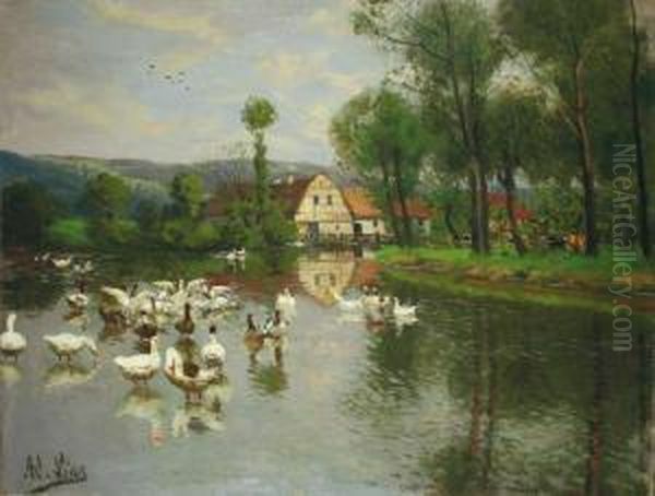 Ganse Auf Dem Weiher. Oil Painting by Adolf Lins