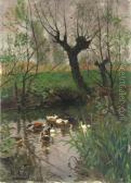 Entenschar Auf Einem Teich Oil Painting by Adolf Lins