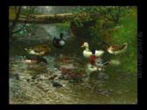 Enten Im Bach Oil Painting by Adolf Lins