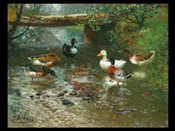 Enten Am Bach Oil Painting by Adolf Lins