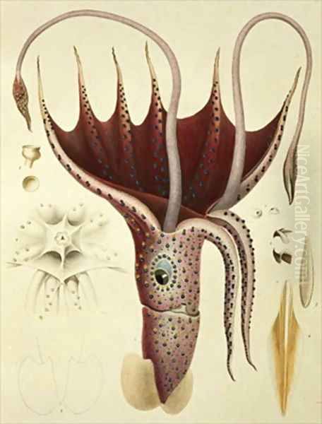 Squid Oil Painting by Antoine Chazal