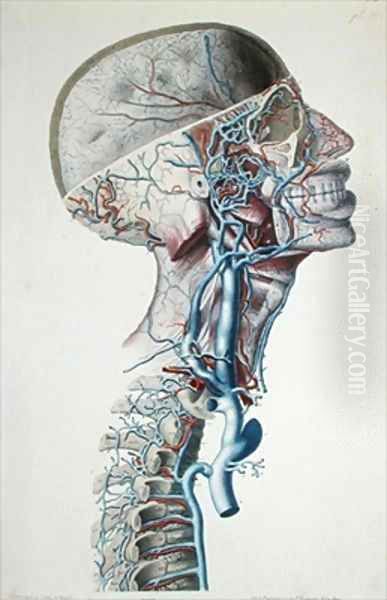 Veins and arteries in the head Oil Painting by Antoine Chazal