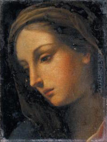 Testa Femminile Oil Painting by Lorenzo Lippi