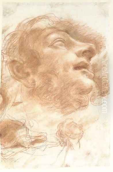 Head of a man looking up Oil Painting by Domenico Maria Canuti