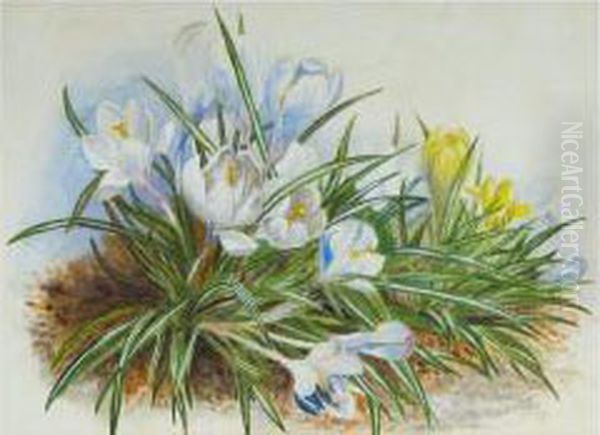 Still Life Crocuses Oil Painting by William Lister Lister