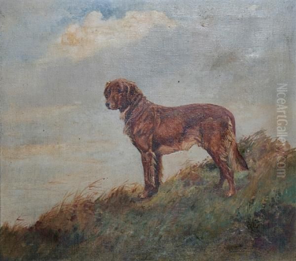 A Golden Retriever Standing In Long Grass Oil Painting by Thomas Ivester Lloyd