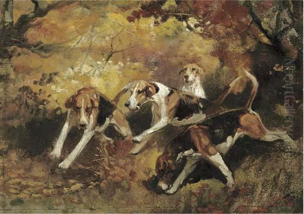 Hounds On The Scent Oil Painting by Thomas Ivester Lloyd