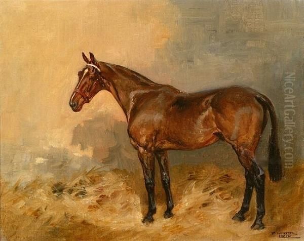 Portrait Of A Bay Horse In A Stable Interior, Signed Oil On Canvas Oil Painting by Thomas Ivester Lloyd