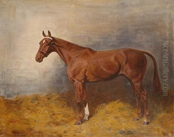 Portrait Of A Horse In A Stable Oil Painting by Thomas Ivester Lloyd