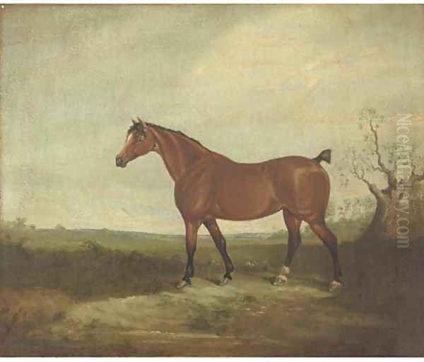 A horse in a landscape Oil Painting by Daniel Clowes